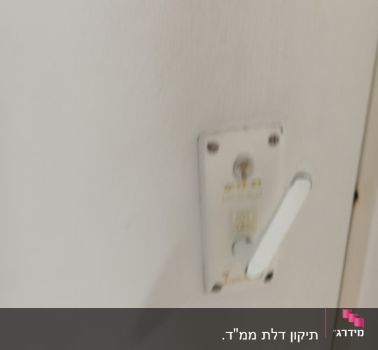 ידית דלת לבנה עם מנעול על לוח מתכת